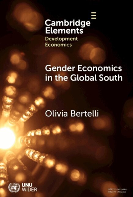 Olivia Bertelli - Gender Economics in the Global South, E-bok