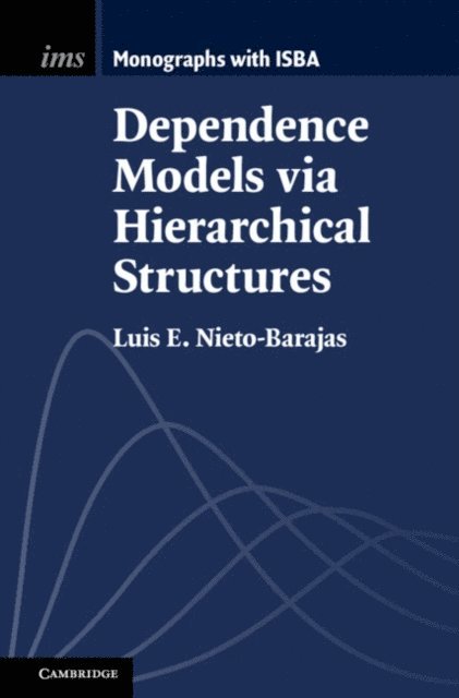 Luis E. Nieto-Barajas - Dependence Models via Hierarchical Structures, E-bok