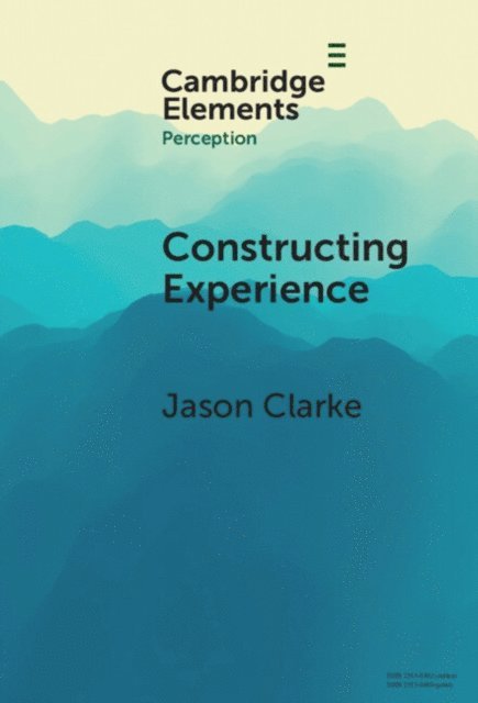 Jason Clarke - Constructing Experience, E-bok