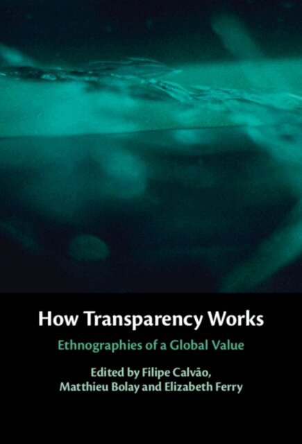 Elizabeth Ferry, Matthieu Bolay, Filipe Calvao - How Transparency Works, E-bok