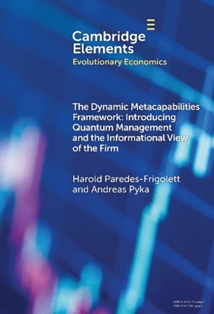 Andreas Pyka, Harold Paredes-Frigolett - Dynamic Metacapabilities Framework, E-bok