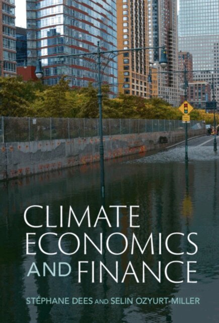 Selin Ozyurt-Miller, Stephane Dees - Climate Economics and Finance, E-bok