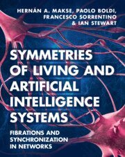 Hernán A. Makse, Paolo Boldi, Francesco Sorrentino, Ian Stewart - Symmetries of Living and Artificial Intelligence Systems, Inbunden