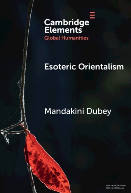 Mandakini Dubey - Esoteric Orientalism, E-bok