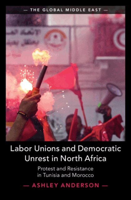 Ashley Anderson - Labor Unions and Democratic Unrest in North Africa, E-bok