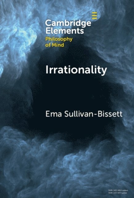 Ema Sullivan-Bissett - Irrationality, E-bok