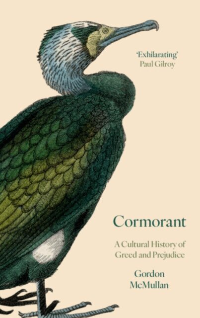 Gordon McMullan - Cormorant, E-bok