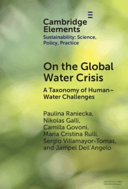 Jampel Dell'Angelo, Sergio Villamayor-Tomas, Maria Cristina Rulli, Camilla Govoni, Nikolas Galli, Paulina Raniecka - On the Global Water Crisis, E-bok