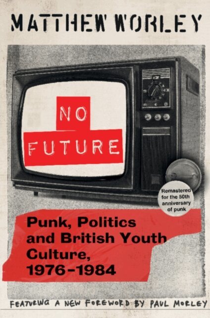 Matthew Worley - No Future Anniversary Edition, E-bok