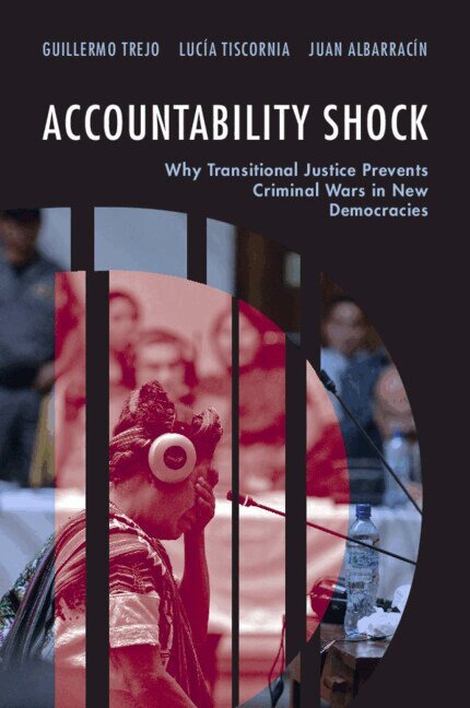 Guillermo Trejo, Lucía Tiscornia, Juan Albarracín - Accountability Shock, Häftad