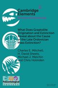 What Does Graptolite Origination and Extinction Reveal about the Cause of the Late Ordovician Mass Extinction?
