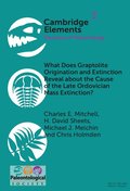 What Does Graptolite Origination and Extinction Reveal about the Cause of the Late Ordovician Mass Extinction?