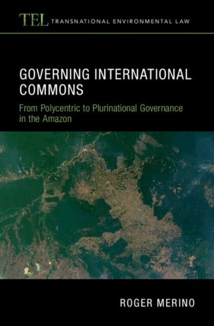 Roger Merino - Governing International Commons, E-bok