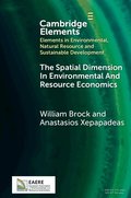 The Spatial Dimension In Environmental and Resource Economics