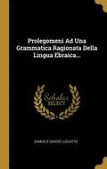 Prolegomeni Ad Una Grammatica Ragionata Della Lingua Ebraica...