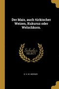 Der Mais, auch trkischer Weizen, Kukuruz oder Welschkorn.