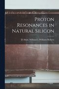 Proton Resonances in Natural Silicon
