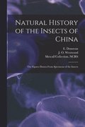 Natural History of the Insects of China