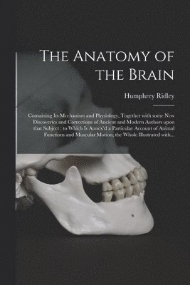 Anatomy of the Brain