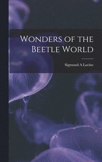 Wonders of the Beetle World