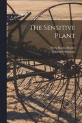 Sensitive Plant