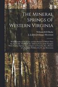 The Mineral Springs of Western Virginia