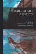 Pictures of Life in Mexico; 1