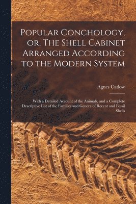 Popular Conchology, or, The Shell Cabinet Arranged According to the Modern System
