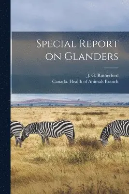 J. G. (John Gunion) Rutherford, Canada Health of Animals Branch - Special Report on Glanders [microform], Häftad. Tillgänglighet: Lägg i varukorg
