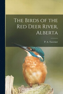 P. A. Taverner - Birds of the Red Deer River, Alberta [microform], Häftad. Tillgänglighet: Lägg i varukorg