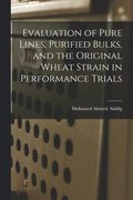 Evaluation of Pure Lines, Purified Bulks, and the Original Wheat Strain in Performance Trials