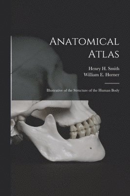 Anatomical Atlas