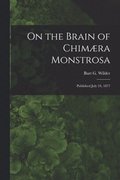 On the Brain of Chimaera Monstrosa
