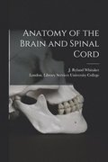 Anatomy of the Brain and Spinal Cord [electronic Resource]