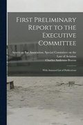 First Preliminary Report to the Executive Committee