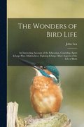 The Wonders of Bird Life