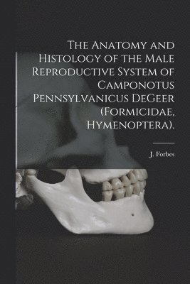 J. Forbes - The Anatomy and Histology of the Male Reproductive System of Camponotus Pennsylvanicus DeGeer (Formicidae, Hymenoptera)., Häftad