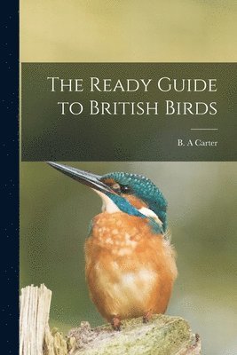 Ready Guide to British Birds