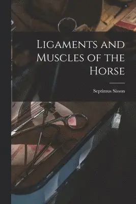 Ligaments and Muscles of the Horse [microform]