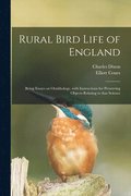 Rural Bird Life of England