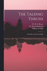 Talking Thrush