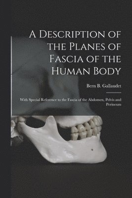 A Description of the Planes of Fascia of the Human Body: With Special Reference to the Fascia of the Abdomen, Pelvis and Perineum, Häftad