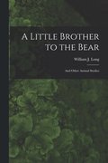 Little Brother to the Bear [microform]