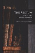 Rectum