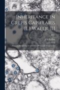 Inheritance in Crepis Capillaris (L.) Wallr. III