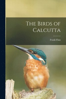 Birds of Calcutta