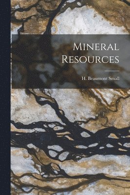 H. Beaumont (Henry Beaumont) Small - Mineral Resources [microform], Häftad. Tillgänglighet: Lägg i varukorg