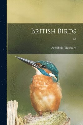 Archibald 1860-1935 Thorburn - British Birds; v.3, Häftad. Tillgänglighet: Lägg i varukorg