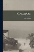 Gallipoli [microform]