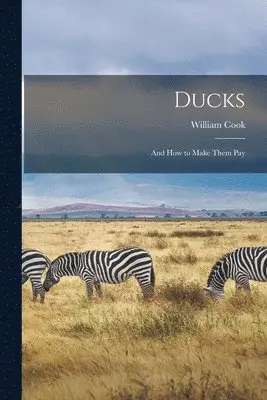 Ducks